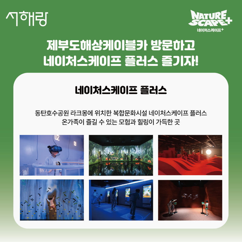 대지 3.png