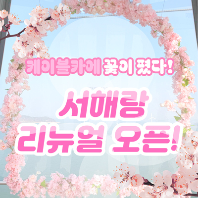홈페이지1.jpg